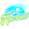 Hawaii Surfing Summer