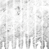 CHESS CHESS PIECES