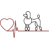 I love poodle