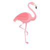 Unicycle