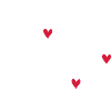 beste reiseleiterin