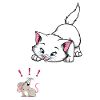Cat and Mouse Attention Cat