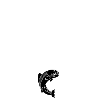 T-shirt Chasseur, pêcheur, humour