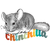 chinchilla
