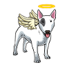 Bullterrier miniature Avec ailes angéliques