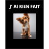 J AI RIEN FAIT