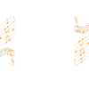 organ