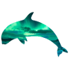 Orca/Killerwal mit Nordlicht-Effekt