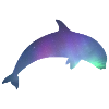 Orca/Killerwal mit Nordlichtern