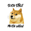 Preoccupazione Doge Meme tale stile molto wow