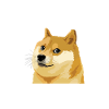 Bekymring Doge Meme sådan stil Meget Wow