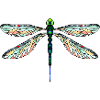 Libellule