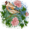 Bunte Vogel