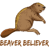 Cute beaver