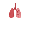 New lung | Lung Transplant Gift
