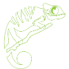 Leguan leguan Firben Krybdyr Krybdyr Leguan