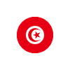 Tunisia Tunisian flag flag