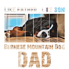 Bernese mountain dog