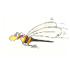 Fast wasp