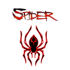 A Crazy Spider