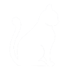 Katze Kater Katzen