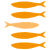 Sardines oranges