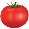 Tomate