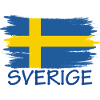 Sverige Sweden Sweden Flag Design