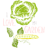 Vegetable garden