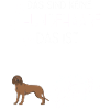 Bayerischer Gebirgsschweißhund Jagdhunde Hunde