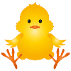 freshly hatched cute fluffy chick