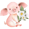 Petit cochon, Nouvel An