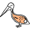 The wolverine pelican