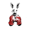 Kangaroo with boxing gloves