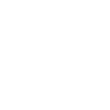 Spider Black Widow