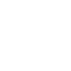 COO - Chief Operating Officer