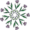 Flowers, Blumen, Rosette