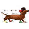 Dackel