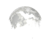Bat