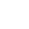 Cocher cocher cheval