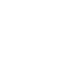 Coach coach horse
