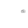Photographe