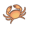 Krabbe Holy Crab