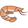 Shrimp