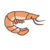 Shrimp youre shrimply the best
