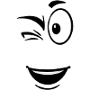 Face toon wink