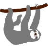Sloth