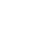 Shiba Inu Evolution Chien