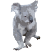 Koalatitude