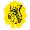 Écureuils